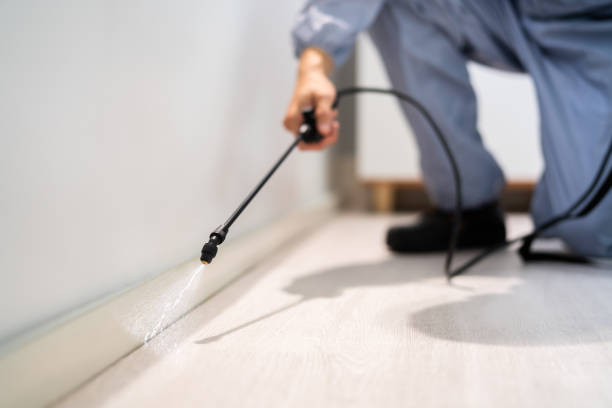 Licensed Cockroach Control service in Shelbyville, IL - Nex Pest Control