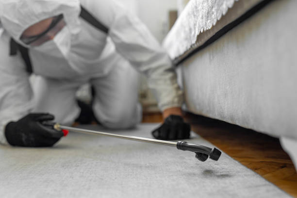 Professional Cockroach Control technician working in Shelbyville, IL